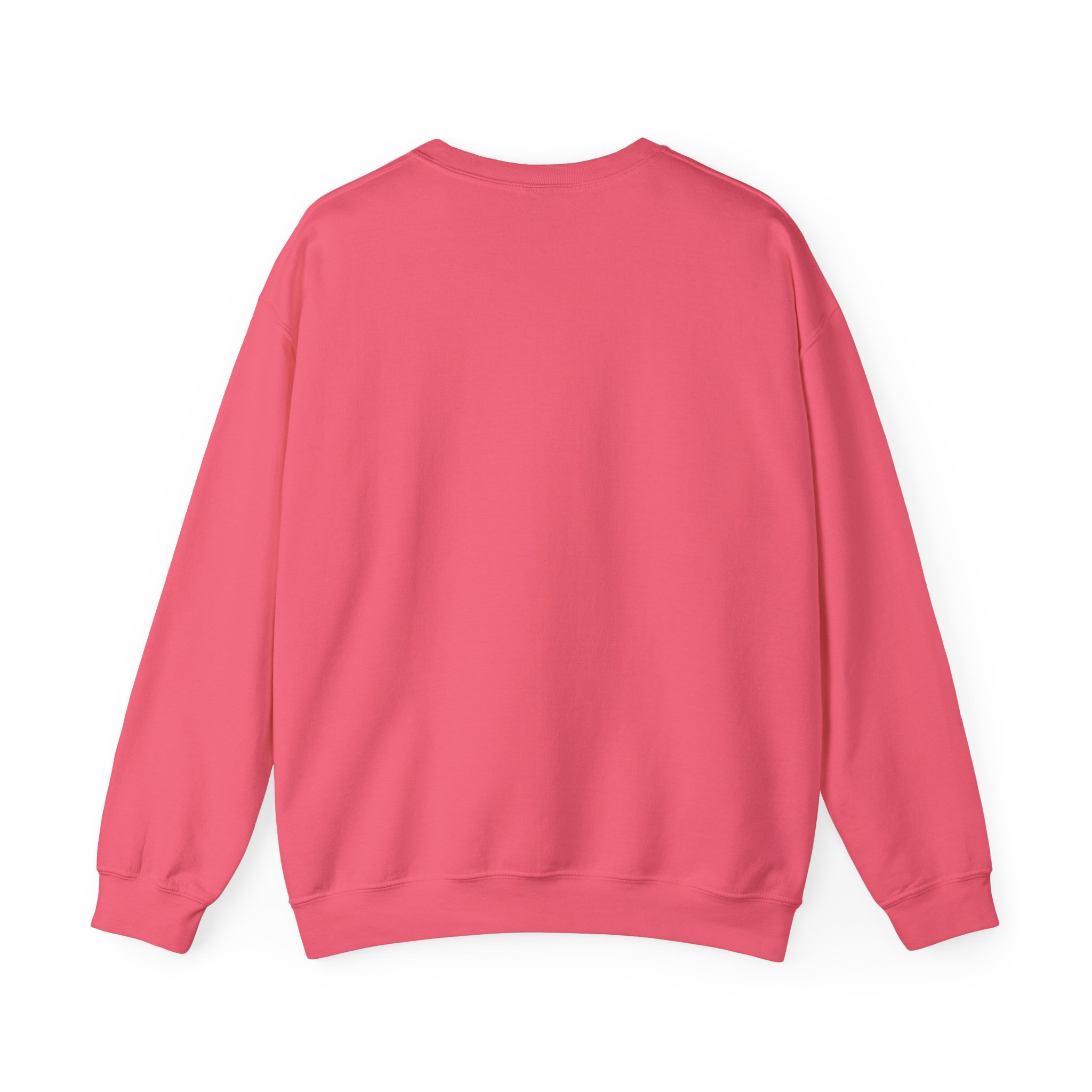 Light Shines Bright, Sweatshirt - Matthew 5:14, Christian Apparel - Image 29