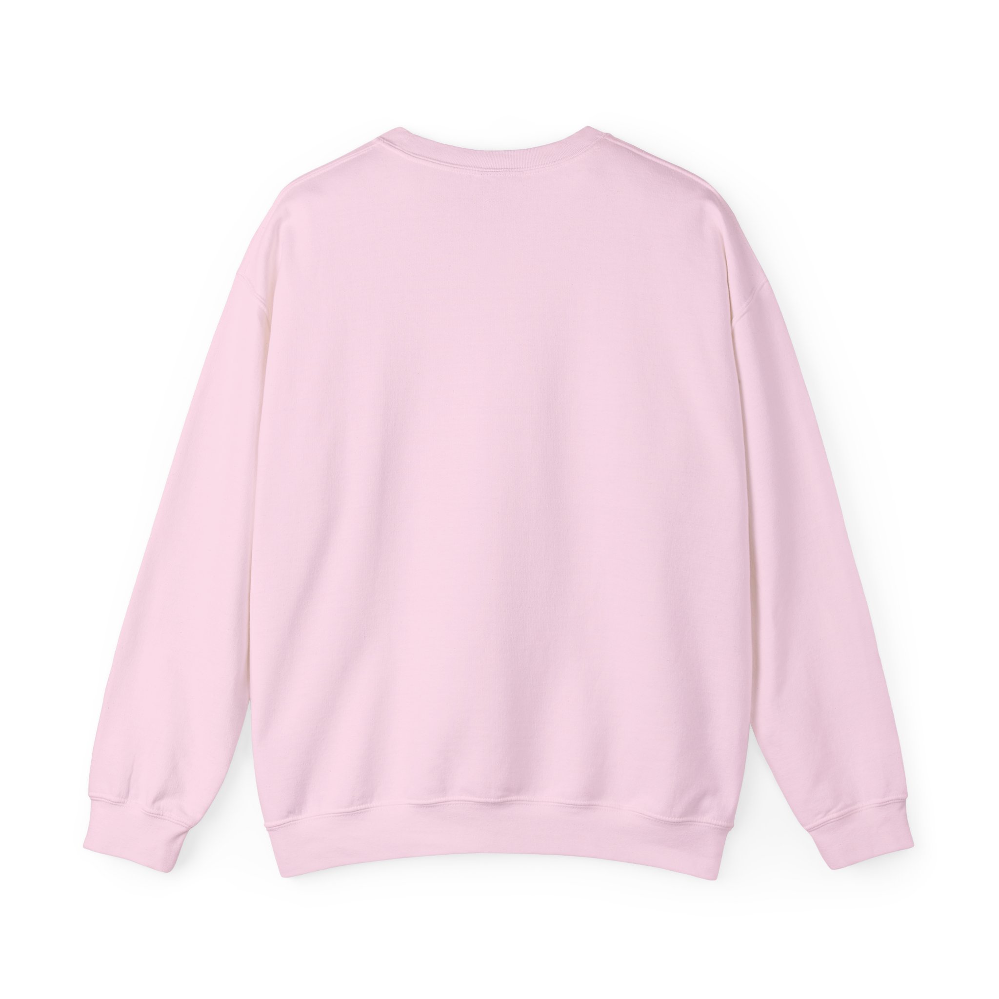 Light Shines Bright, Sweatshirt - Matthew 5:14, Christian Apparel - Image 25