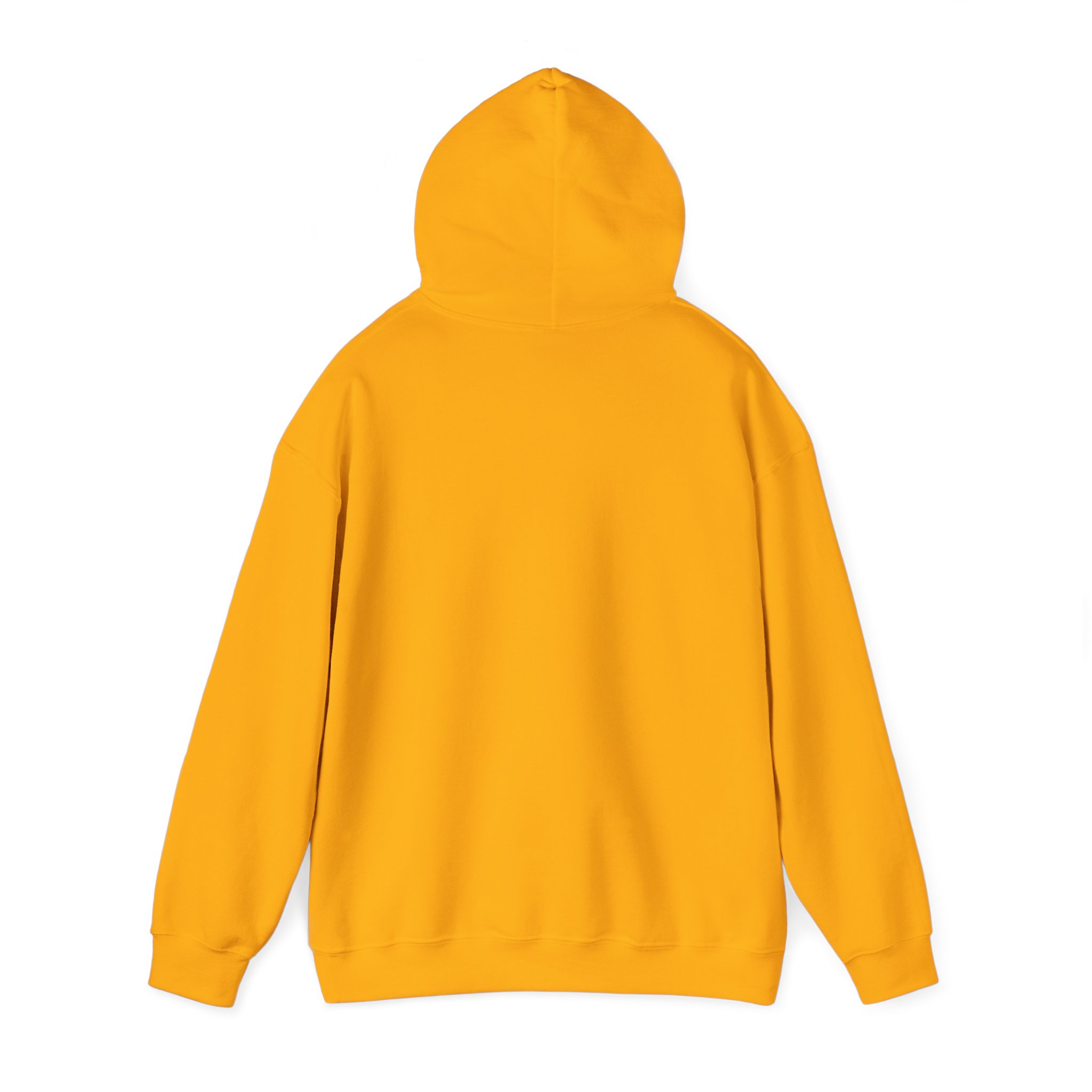 Women’s Hooded Sweatshirt: Light Shines Bright – Cozy & Inspirational Design - Image 3