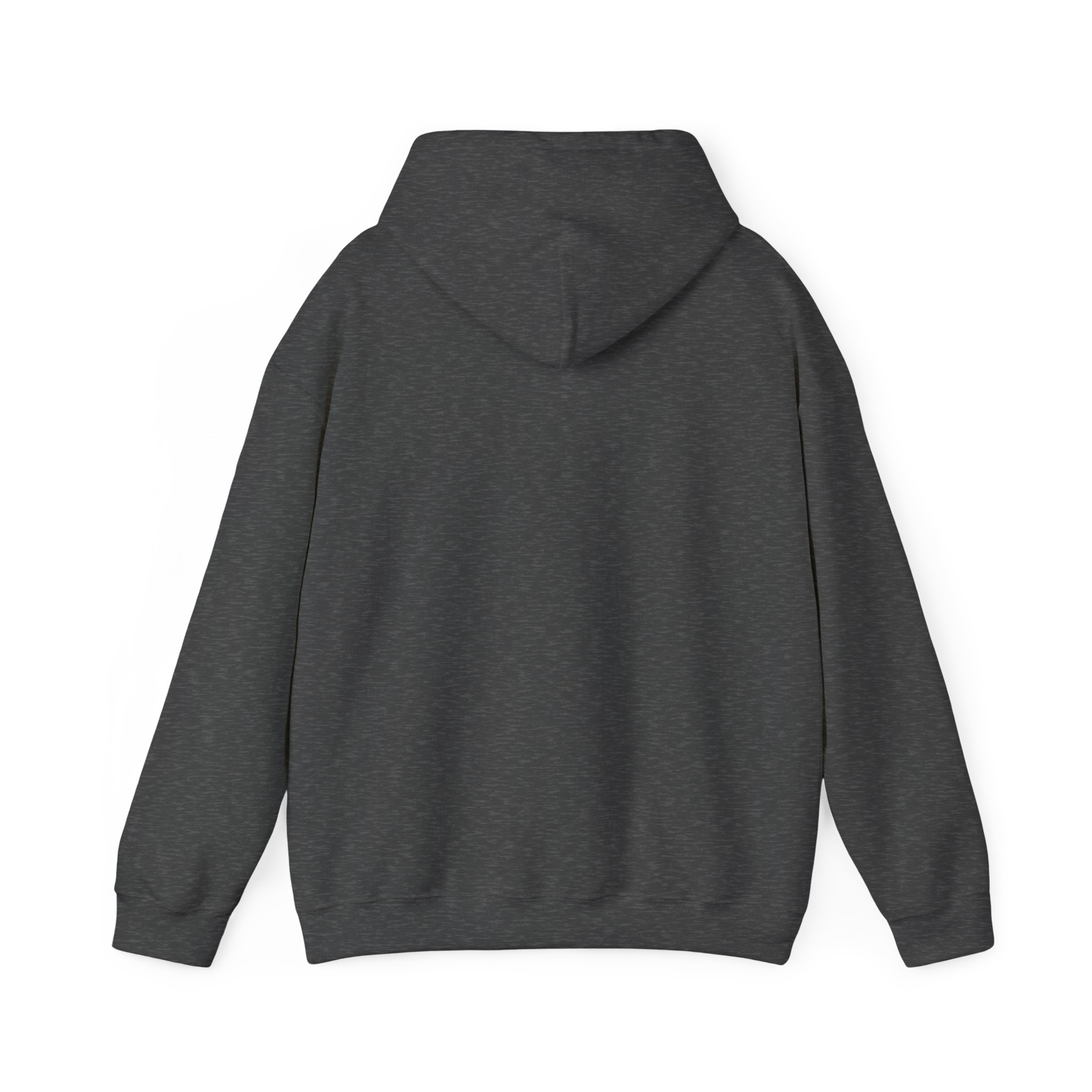 Papa Bear Christian Hoodie – Faith-Inspired Gift for Strong, Loving Dads - Image 25