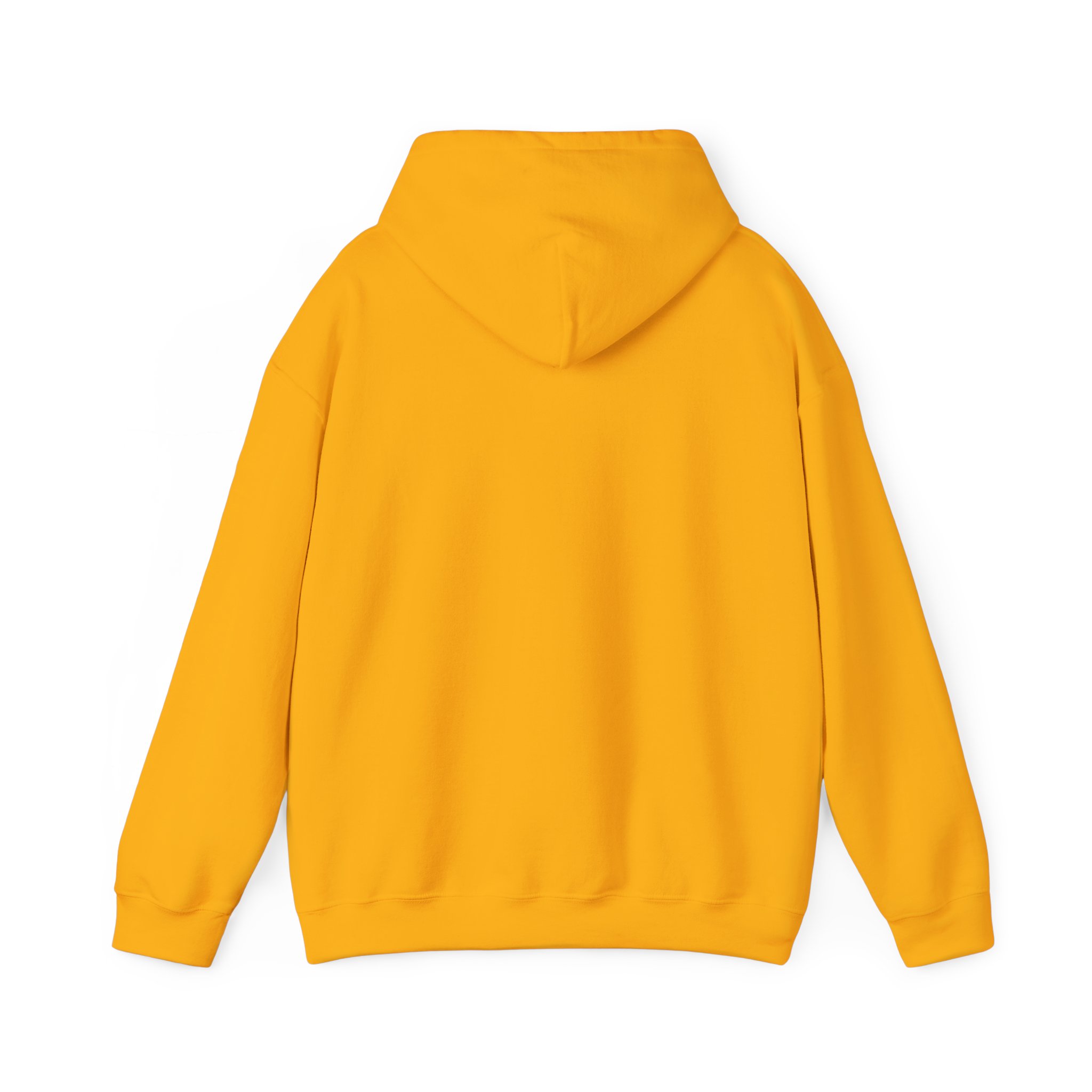 Papa Bear Christian Hoodie – Faith-Inspired Gift for Strong, Loving Dads - Image 21