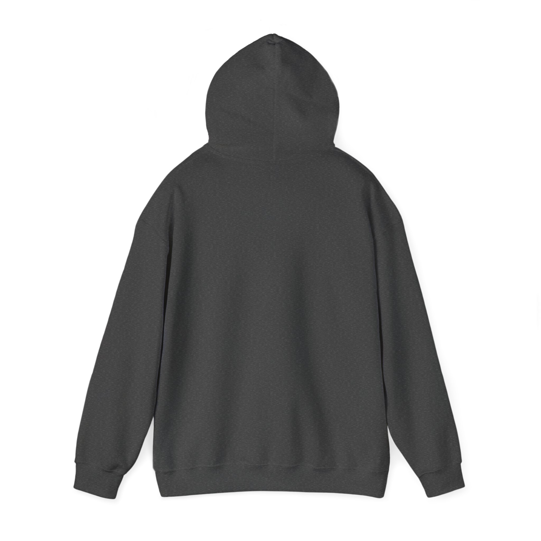Papa Bear Christian Hoodie – Faith-Inspired Gift for Strong, Loving Dads - Image 26