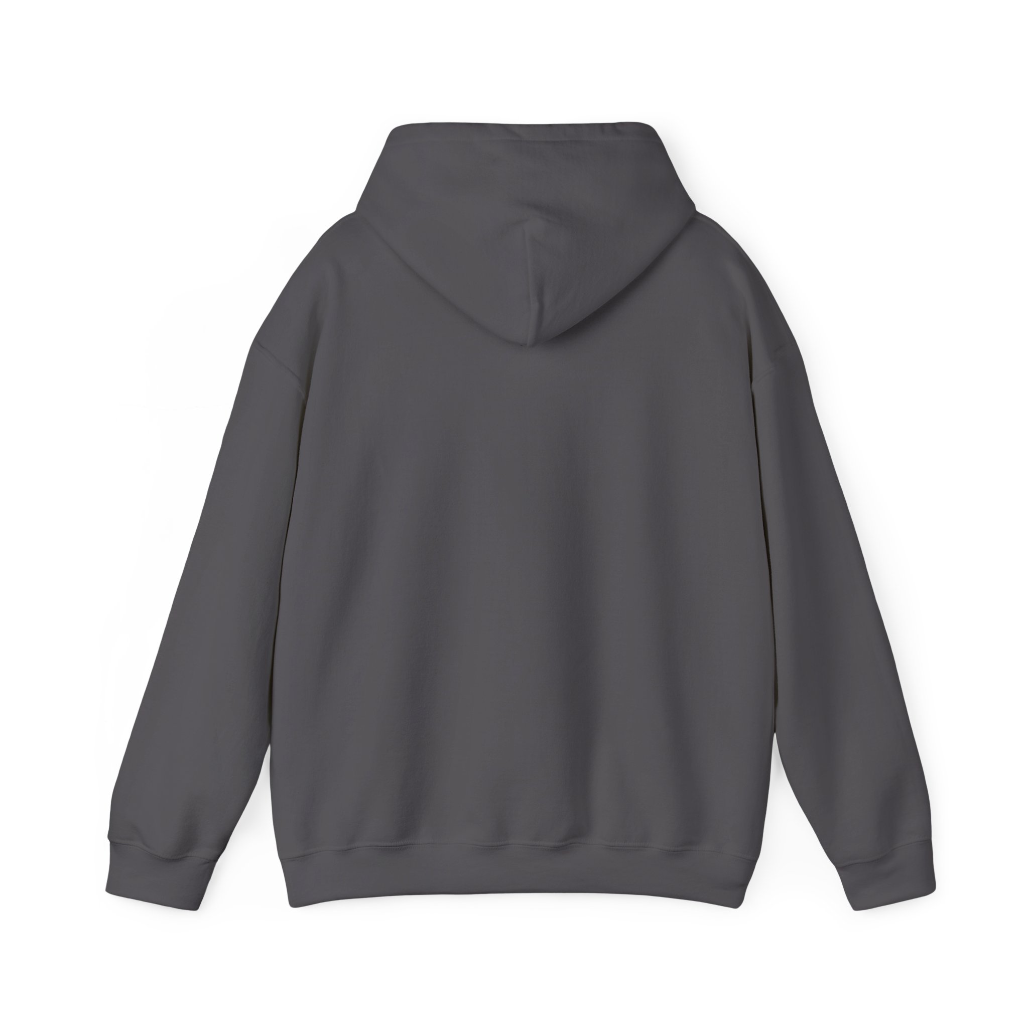 Papa Bear Christian Hoodie – Faith-Inspired Gift for Strong, Loving Dads - Image 33
