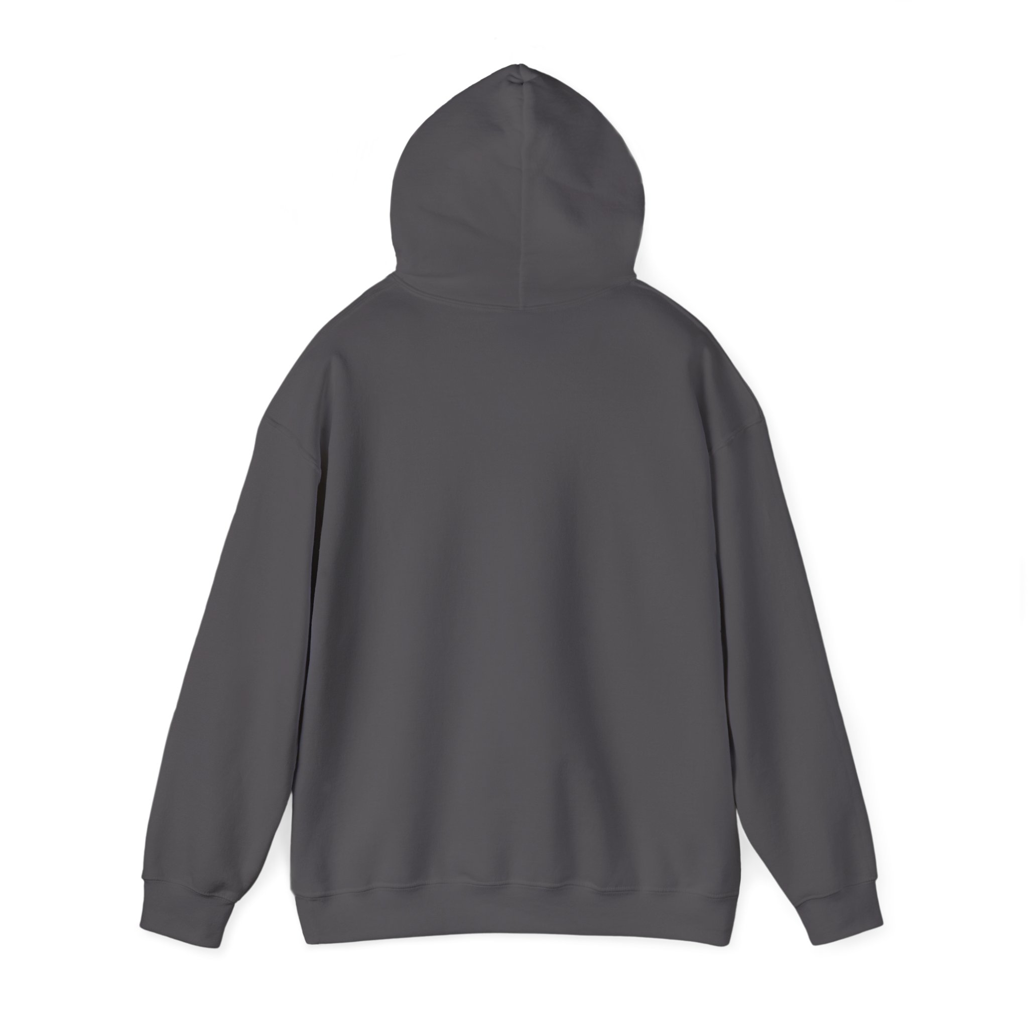 Papa Bear Christian Hoodie – Faith-Inspired Gift for Strong, Loving Dads - Image 34